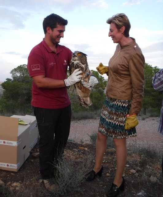 El Centro de Recuperación de Fauna Silvestre atiende a 68 búhos reales