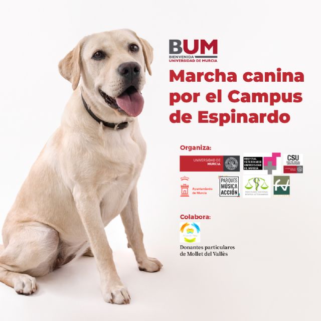 La Universidad de Murcia organiza una marcha canina por el campus de Espinardo