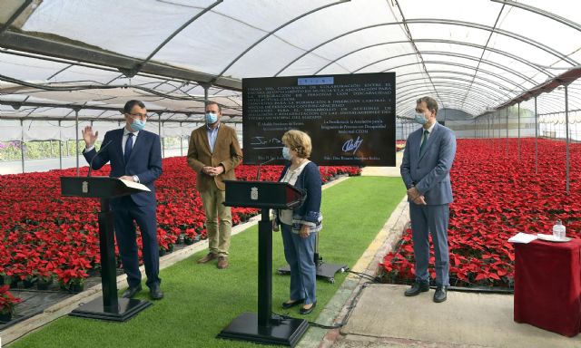 La producción de las flores de los jardines de Murcia impulsa la inserción laboral de personas con discapacidad