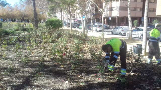 Parques y Jardines poda más de 10.000 rosales para conseguir una mayor floración en primavera