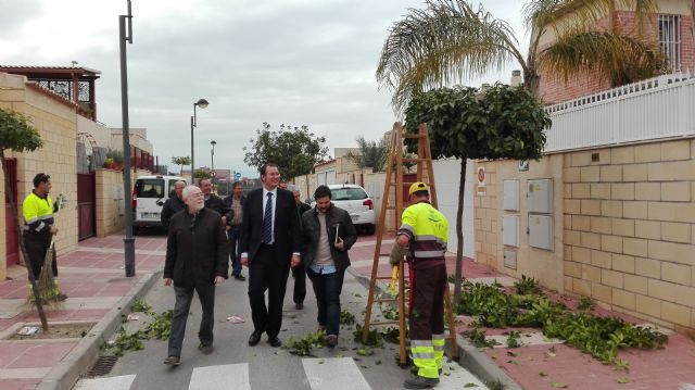 El Servicio de Parques y Jardines comienza la poda de 13.000 naranjos