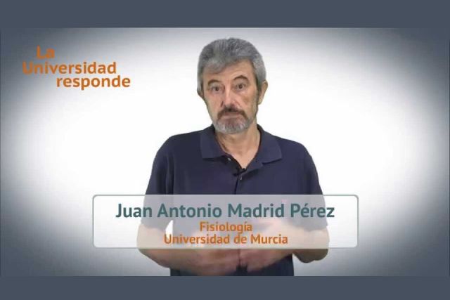 La UMU participa en 'La Universidad responde'