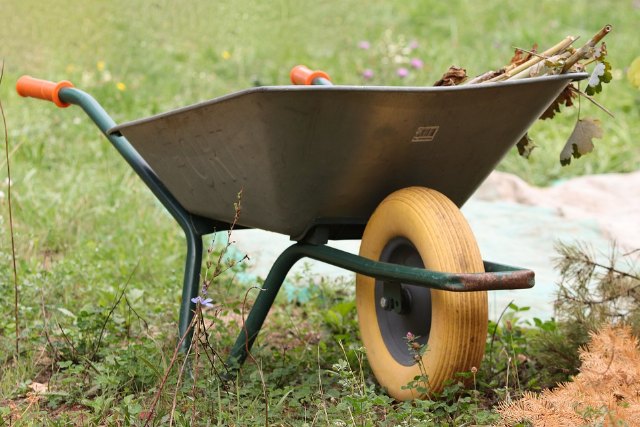 El Ayuntamiento crea una lista de espera de peón de jardinería en el Vivero Municipal del Mayayo para personas con discapacidad