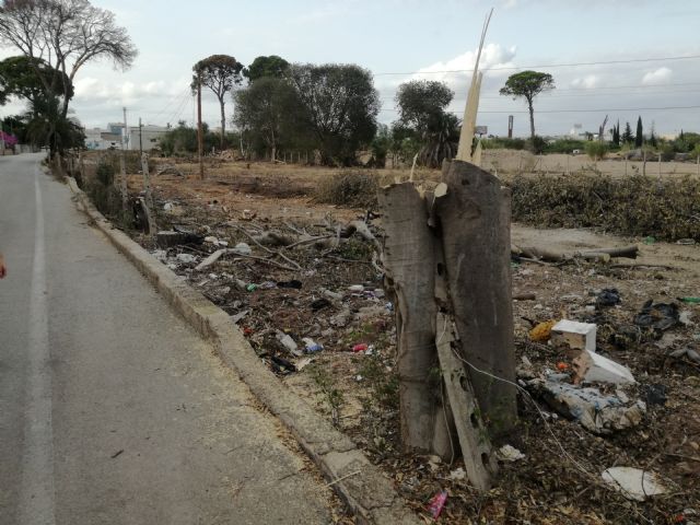 Huerta Viva denuncia la tala de especies protegidas junto a los pinos de Churra