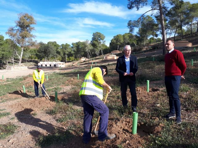 Medio Ambiente planta más de 1.200 pinos carrascos y 500 arbustos en el parque municipal de Los Polvorines en Monteagudo