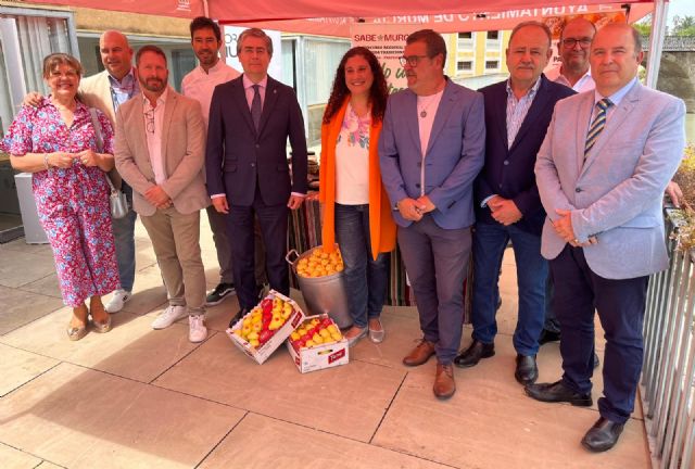 La I edición ´Sabe a Murcia´ para profesionales de la hostelería tiene como protagonista el caldo con pelotas