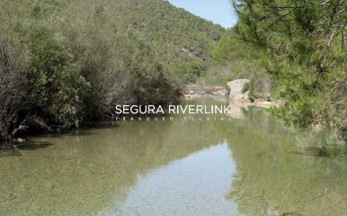 Reviviendo el cauce del río Segura