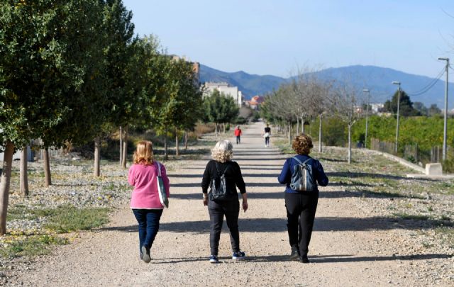 La Junta de Gobierno da el paso definitivo para que la Vía Verde se amplíe hasta Los Dolores, Alquerías y Zeneta